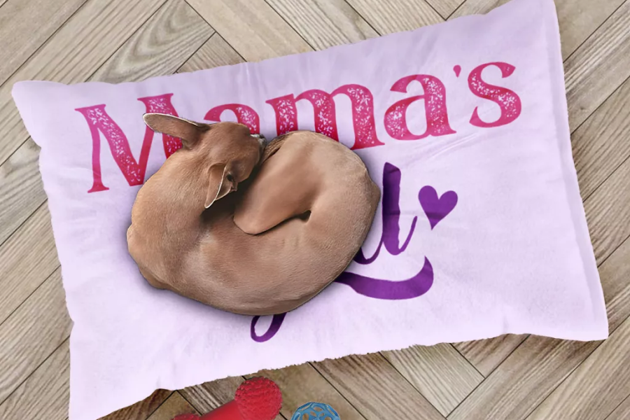 Cozy Dog and Cat Bed with Soft Lining