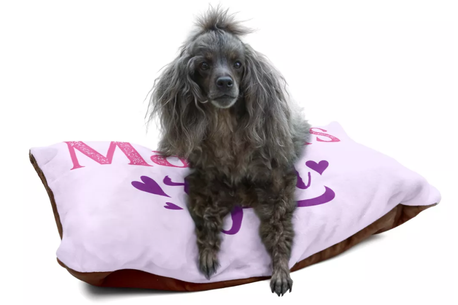Cute Pet Bed for Small Dogs and Cats