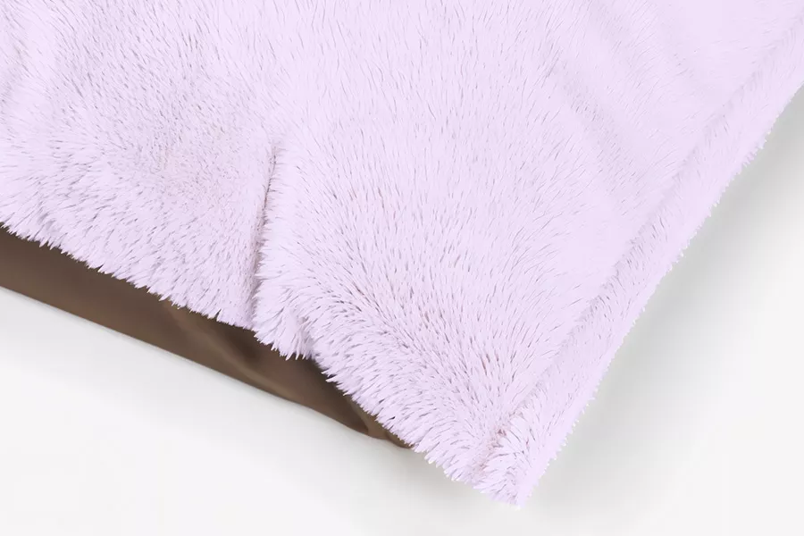 Everyday Pet Accessory for Dogs and Cats