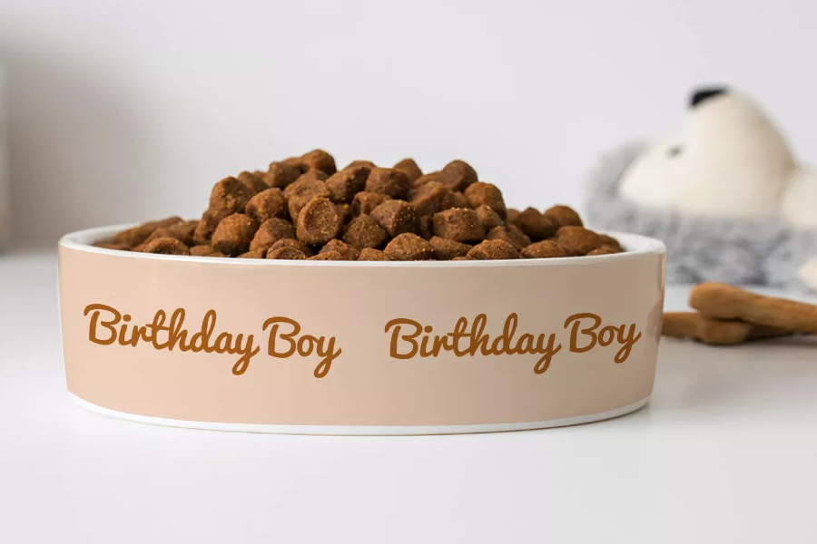 Birthday Pet Bowl for Dogs