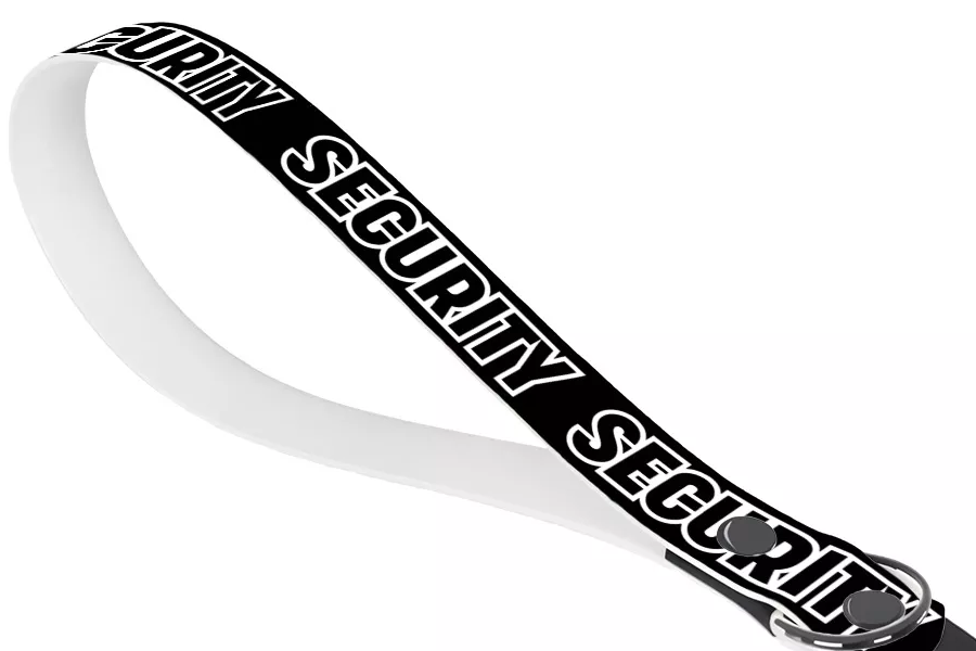 Secure Dog Leash for Walking